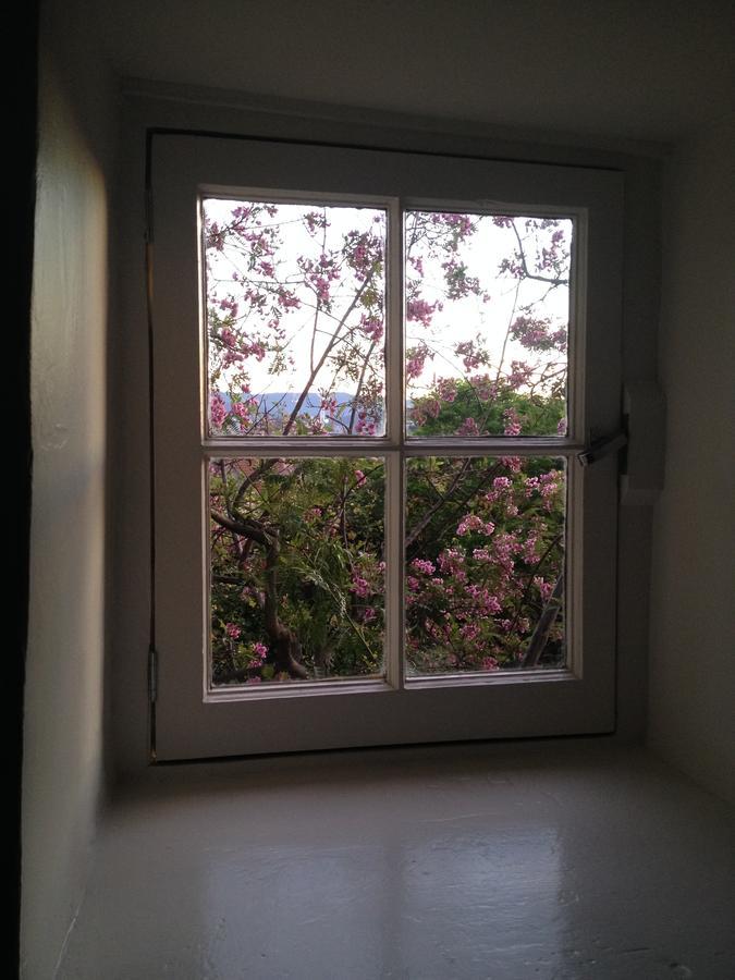 Blue Magnolia Villa โฮบาร์ต ภายนอก รูปภาพ